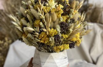 Яркая композиция из сухоцветов в бетонном кашпо. 20 kopiya img 6779 Описание и размеры композиции из сухоцветов.